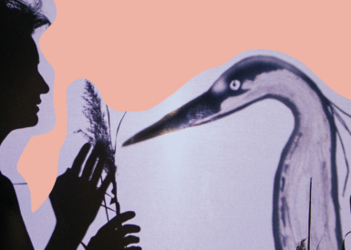 Natacha Kudritskaya - Couperin / Gaveau